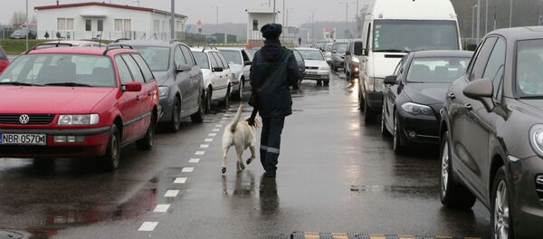 Россиянын чек арасында кезекте турган унаалар. Архив Россиянын чек арасында кезекте турган унаалар. Архив - Sputnik Кыргызстан