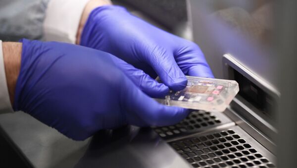 Сотрудник вставляет чип в прибор для идентификации антител к коронавирусу. Архивное фото - Sputnik Кыргызстан