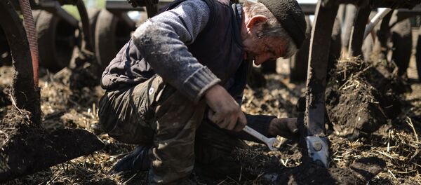 Работа ЗАО Степное в Искитимском районе - Sputnik Кыргызстан