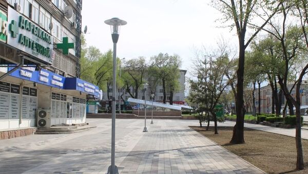 Облагораживание пешеходной зоны возле магазина Океан - Sputnik Кыргызстан
