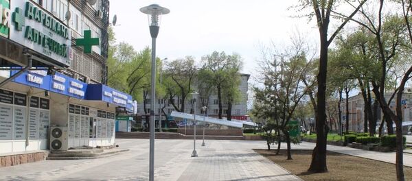 Облагораживание пешеходной зоны возле магазина Океан - Sputnik Кыргызстан