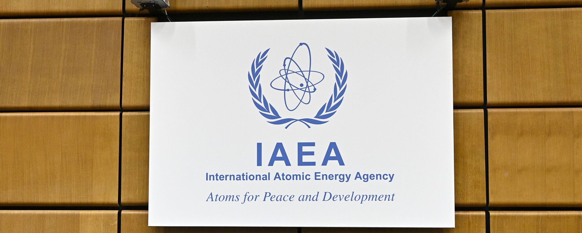 Международное агентство по атомной энергии (МАГАТЭ). Архивное фото - Sputnik Кыргызстан, 1920, 10.08.2022
