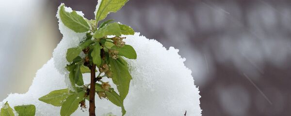 Кар. Архив - Sputnik Кыргызстан