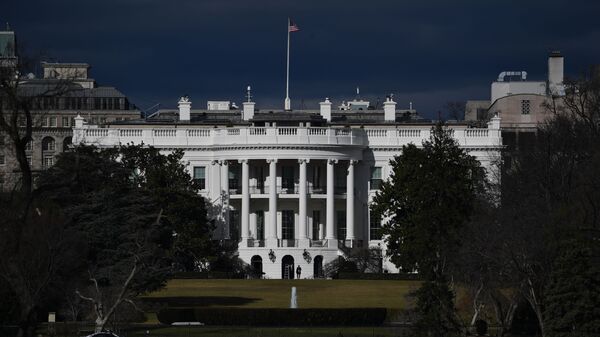 Вид на Белый дом в Вашингтоне. Архивное фото - Sputnik Кыргызстан