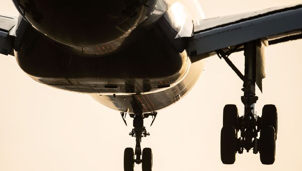Пассажирский самолет заходит на посадку. Архивное фото - Sputnik Кыргызстан