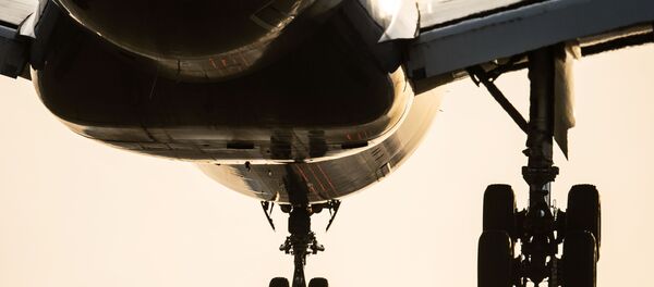 Пассажирский самолет заходит на посадку. Архивное фото - Sputnik Кыргызстан