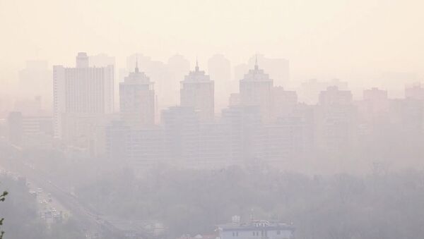 Киев окутал смог из-за пожара в Чернобыльской зоне. Видео - Sputnik Кыргызстан
