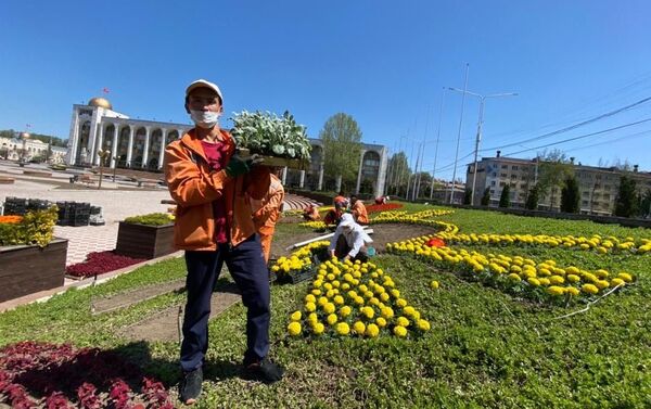 На площади Ала-Тоо в Бишкеке появятся традиционные цветочные часы, сообщила пресс-служба мэрии. - Sputnik Кыргызстан