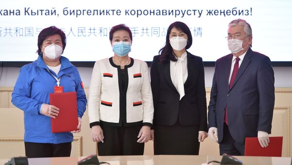 Встреча вице-премьер-министра Исмаиловой с членами делегации медицинской экспертной группы КНР - Sputnik Кыргызстан