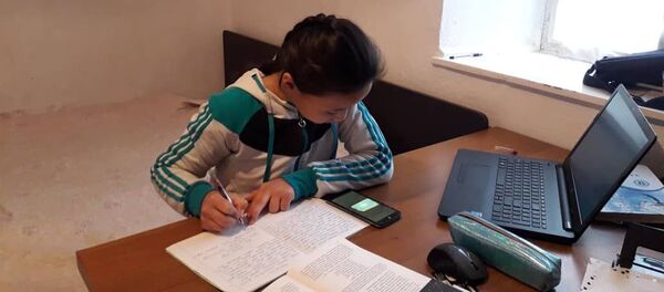 Өз үйүндө сабак окуп жаткан окуучу Өз үйүндө сабак окуп жаткан окуучу - Sputnik Кыргызстан