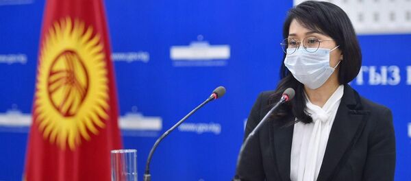 Вице-премьер-министр Аида Исмаилова  - Sputnik Кыргызстан
