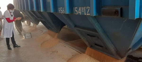 В Кыргызскую Республику доставлено 760 тонн пшеницы В Кыргызскую Республику доставлено 760 тонн пшеницы - Sputnik Кыргызстан