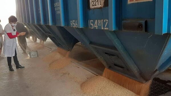 В Кыргызскую Республику доставлено 760 тонн пшеницы - Sputnik Кыргызстан