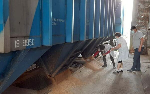 20 апреля в Кыргызстан была доставлена первая партия зерна — 1 тысяча 28 тонн пшеницы - Sputnik Кыргызстан