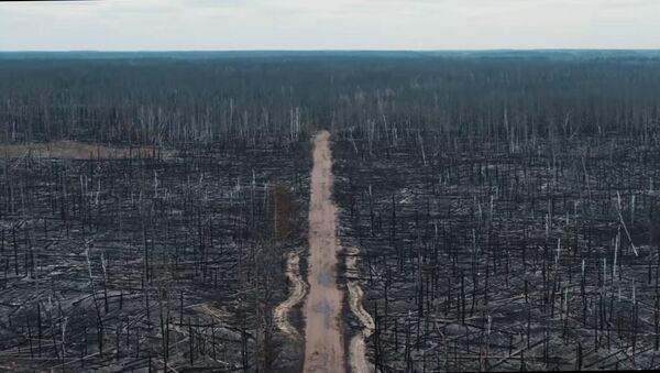 Абсолютный апокалипсис в Чернобыле — последствия лесного пожара. Видео - Sputnik Кыргызстан