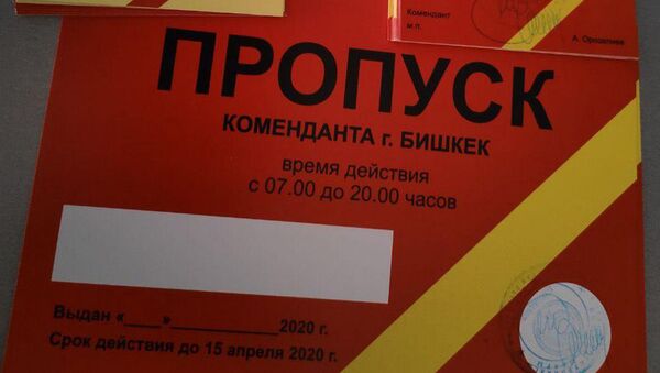 Пропуск для свободного передвижения по городу, в режиме чрезвычайного положения - Sputnik Кыргызстан
