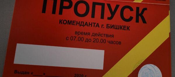 Пропуск для свободного передвижения по городу, в режиме чрезвычайного положения - Sputnik Кыргызстан