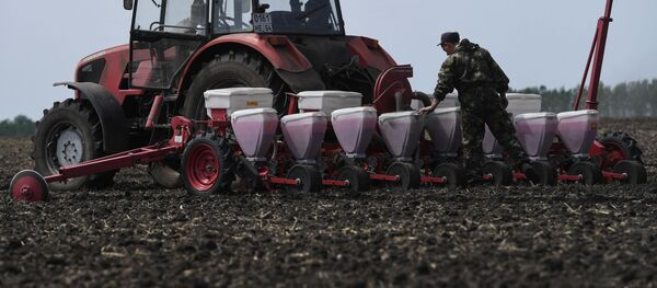 Посевная в Новосибирской области Посевная в Новосибирской области - Sputnik Кыргызстан