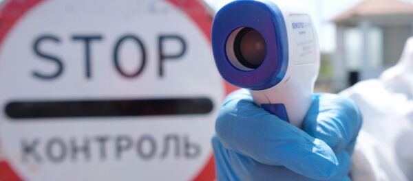 Санитарно-эпидемиологический контроль на посту. Архивное фото - Sputnik Кыргызстан