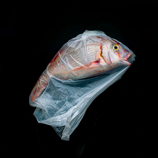 Снимок A Plastic Ocean аргентинского фотографа Jorge Reynal, победивший в категории Open Still Life фотоконкурса 2020 Sony World Photography Awards - Sputnik Кыргызстан