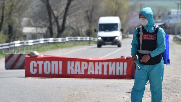 Медицинский сотрудник в защитном костюме проводит дезинфекцию улиц. Архивное фото - Sputnik Кыргызстан
