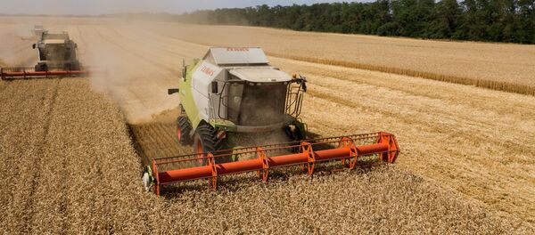 Уборка пшеницы в Краснодарском крае Уборка пшеницы в Краснодарском крае - Sputnik Кыргызстан