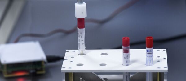 Ассистирующий комплекс для отбора биоматериала для анализа на Covid - Sputnik Кыргызстан