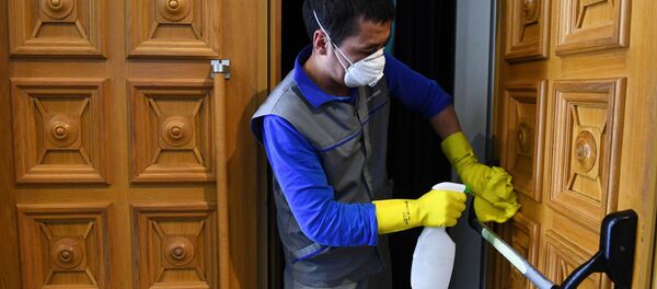 Сотрудник производит санитарную обработку. Архивное фото - Sputnik Кыргызстан