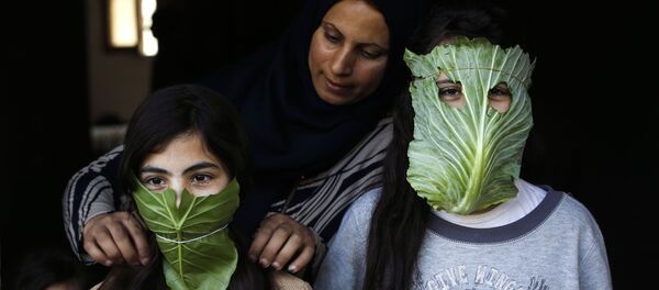 Палестинка надевает на свои детей маски из капусты - Sputnik Кыргызстан