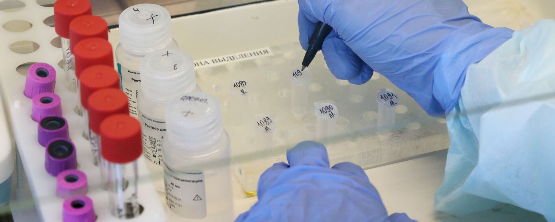 Лаборатория для тестирования на коронавирус  - Sputnik Кыргызстан, 1920, 27.01.2026