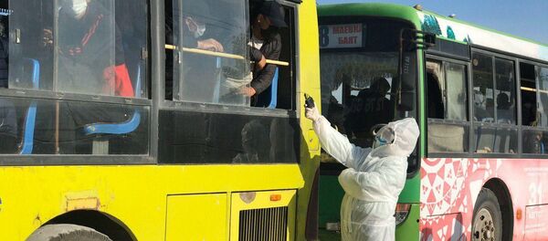 Выехавшие из Оренбургской области кыргызстанцы прибыли на родину. Архивное фото - Sputnik Кыргызстан