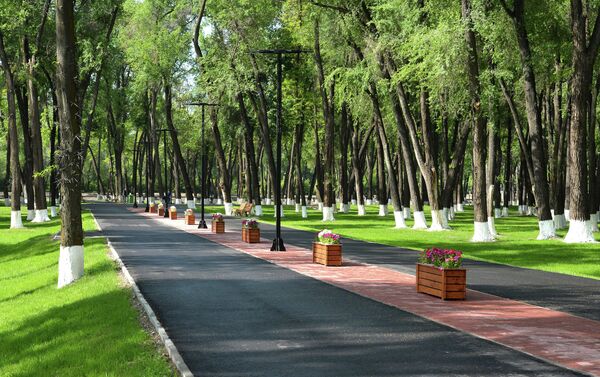 С инициативой о присвоении указанному парку имени Чолпонбая Тулебердиева выступил одноименный общественный фонд. - Sputnik Кыргызстан