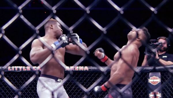 Это будет классный бой — UFC презентовала видео к бою Нганну и Розенстрайка - Sputnik Кыргызстан