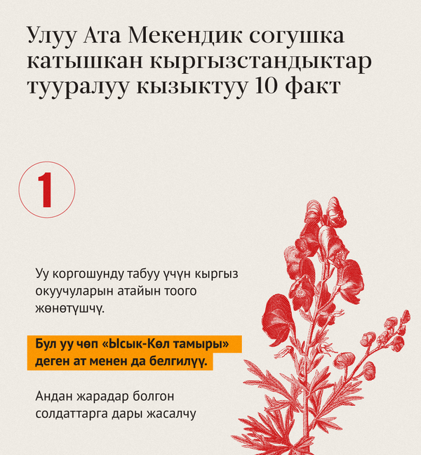 Улуу Ата Мекендик согушка катышкан кыргызстандыктар тууралуу кызыктуу 10 факт - Sputnik Кыргызстан