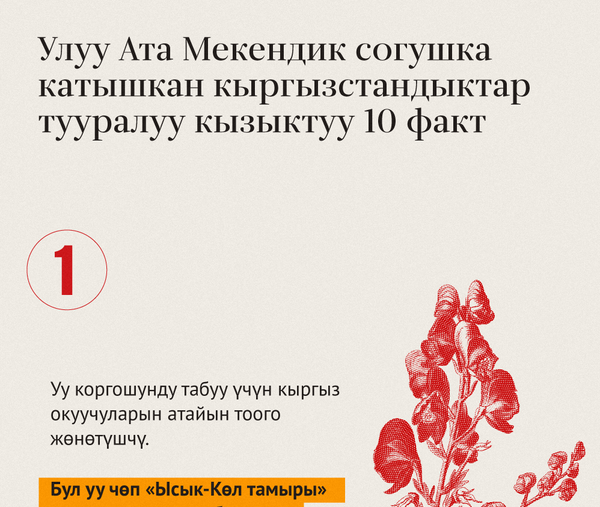 Улуу Ата Мекендик согушка катышкан кыргызстандыктар тууралуу кызыктуу 10 факт - Sputnik Кыргызстан