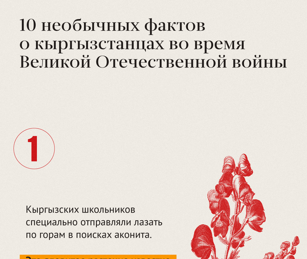 10 необычных фактов  о кыргызстанцах во время  Великой Отечественной войны - Sputnik Кыргызстан