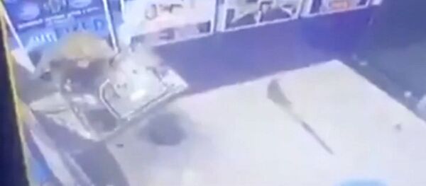 Обезьяна вскрыла банкомат в Нью-Дели — видео с камеры наблюдения - Sputnik Кыргызстан