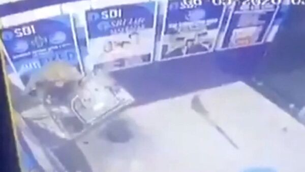 Обезьяна вскрыла банкомат в Нью-Дели — видео с камеры наблюдения - Sputnik Кыргызстан