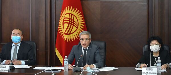 Вице-премьер Эркин Асрандиев Россия өкмөтүнүн төрагасынын орун басары Андрей Оверчук менен онлайн-жолугушуу учурда - Sputnik Кыргызстан