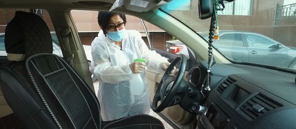 Адис автоунааны кантип дезинфекциялоо керектигин көрсөтүп берди. Видео Адис автоунааны кантип дезинфекциялоо керектигин көрсөтүп берди. Видео - Sputnik Кыргызстан