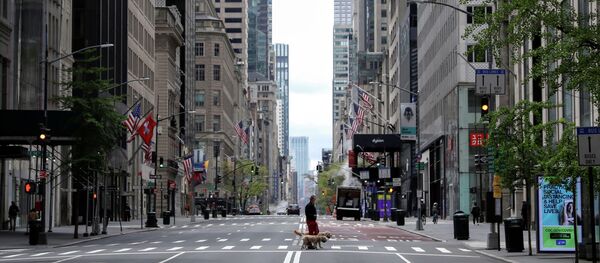 Эркектер иттер менен сейилдөөдө, 5-авенюда,  Манхэттенде, Нью-Йорк, АКШ - Sputnik Кыргызстан