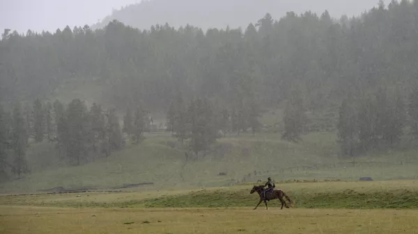  Мужчина скачет на лошади во время дождя в горах  - Sputnik Кыргызстан