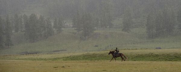 Жамгыр. Архив - Sputnik Кыргызстан