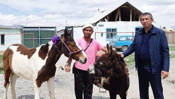 Акция помощи для малообеспеченных семей в Ат-Баши - Sputnik Кыргызстан