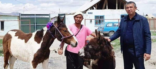 Акция помощи для малообеспеченных семей в Ат-Баши - Sputnik Кыргызстан