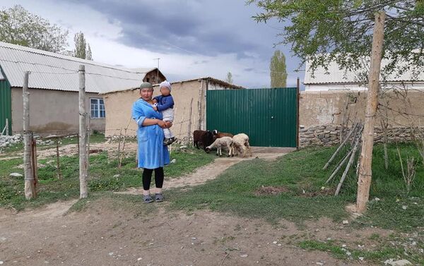 Ат-Башы районунда Муктаждарга төрт түлүк аттуу акциянын арты менен райондо аз камсыз жашаган 11 үй-бүлө малдуу болду - Sputnik Кыргызстан