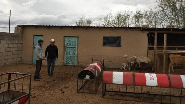 Акция помощи для малообеспеченных семей в Ат-Баши - Sputnik Кыргызстан