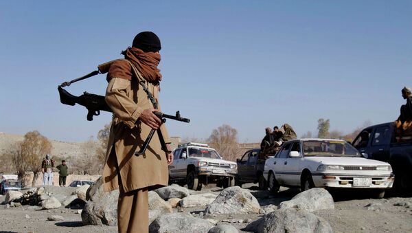 Боевик радикального движения Талибан на контрольно-пропускном пункте в провинции Нангархар в Афганистане. Архивное фото - Sputnik Кыргызстан