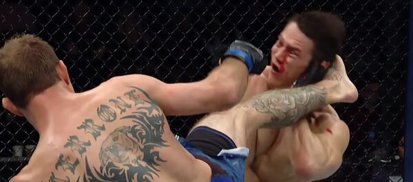 Сносят одним ударом — впечатляющая видеоподборка лучших финишей в UFC - Sputnik Кыргызстан