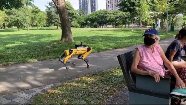 Робот-пес просит людей в сингапурском парке соблюдать дистанцию — видео - Sputnik Кыргызстан